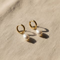 Gold hoop drop earrings with freshwater pearls on a white background. Pearl drop huggie earrings gold, pearl hoop earrings, dainty gold earrings